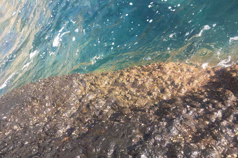 The-sea